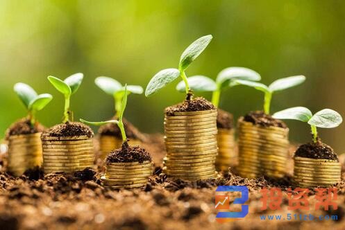 怎么提高基金收益率?提高自己的投资能力
