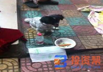 如何识别吃饭求助骗局?