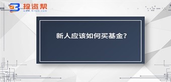 新人应该如何买基金?