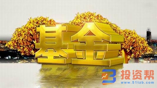 股票基金是什么?什么是基金股?