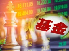 新基金发行规模超2.1万亿 持续为股市输血